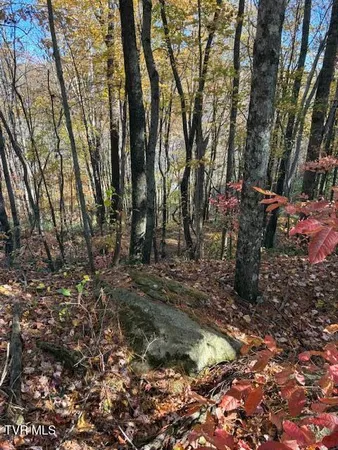 $39,000 | 0 Country Meadow Drive, Norton, VA 24273