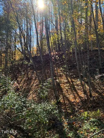 $39,000 | 0 Country Meadow Drive, Norton, VA 24273