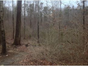 0 Bunker Hill Road Elizabethton, TN 37643 - Photo 1 of 5 Photo 1