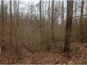 0 Bunker Hill Road Elizabethton, TN 37643 - Photo 3 of 5 Photo 3