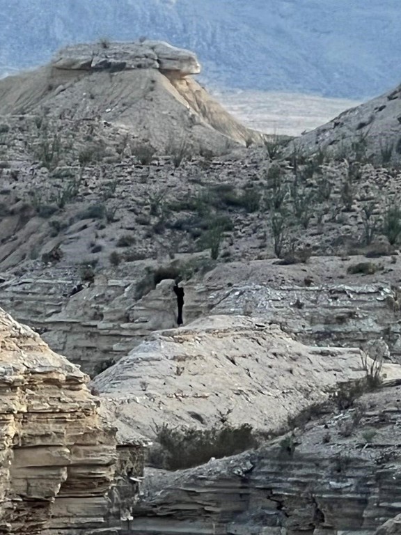 0 Needle Peak Road Terlingua, TX 79852 - Photo 18 of 20