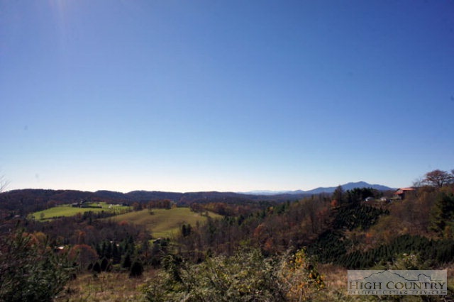 2180 Friendship Church Road Boone, NC 28607 - Photo 18 of 43 Gallery Image 18