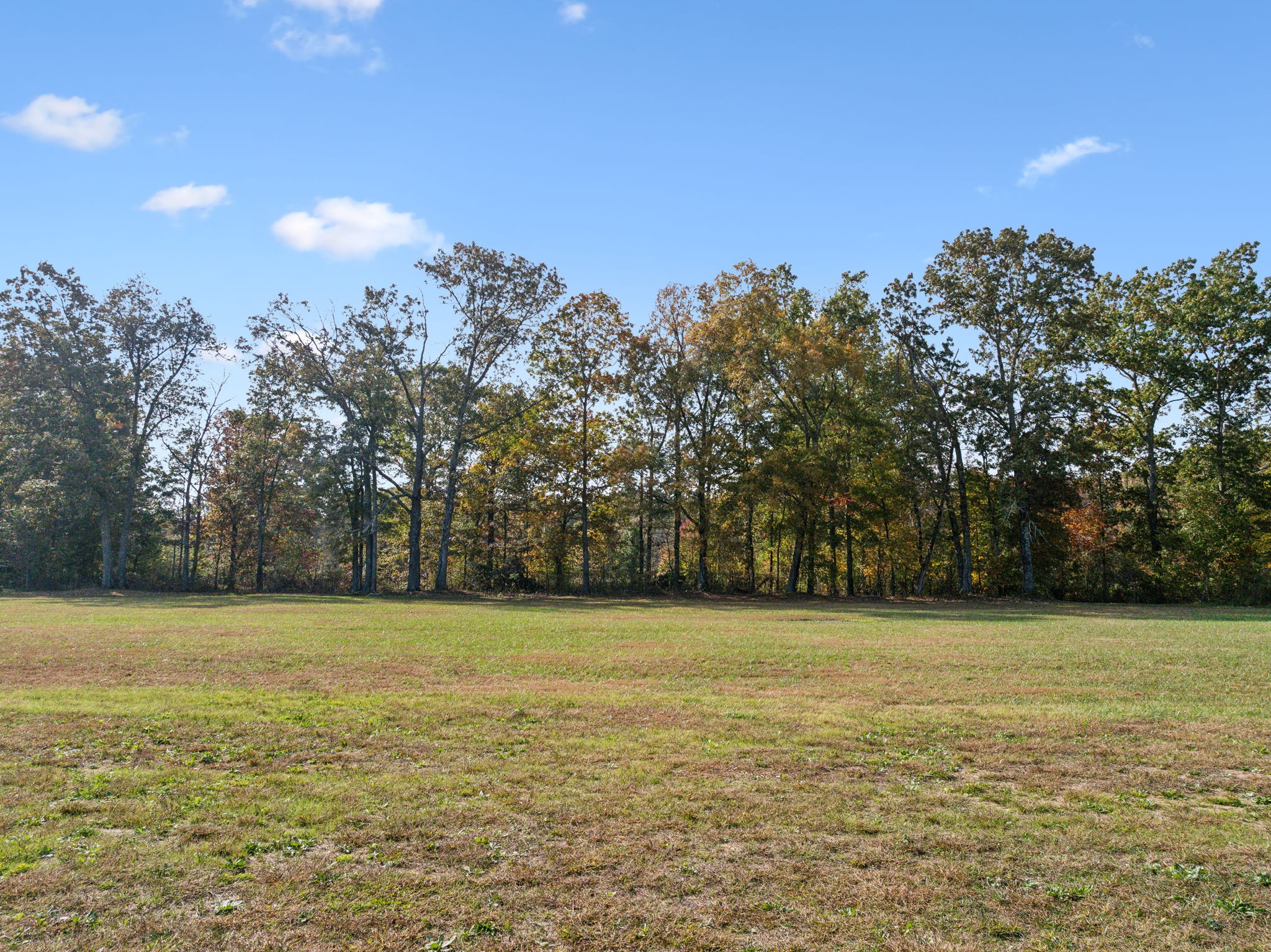 6379 Fredonia Road Manchester, TN 37355 - Photo 36 of 41 a view of a grassy field with trees in the background