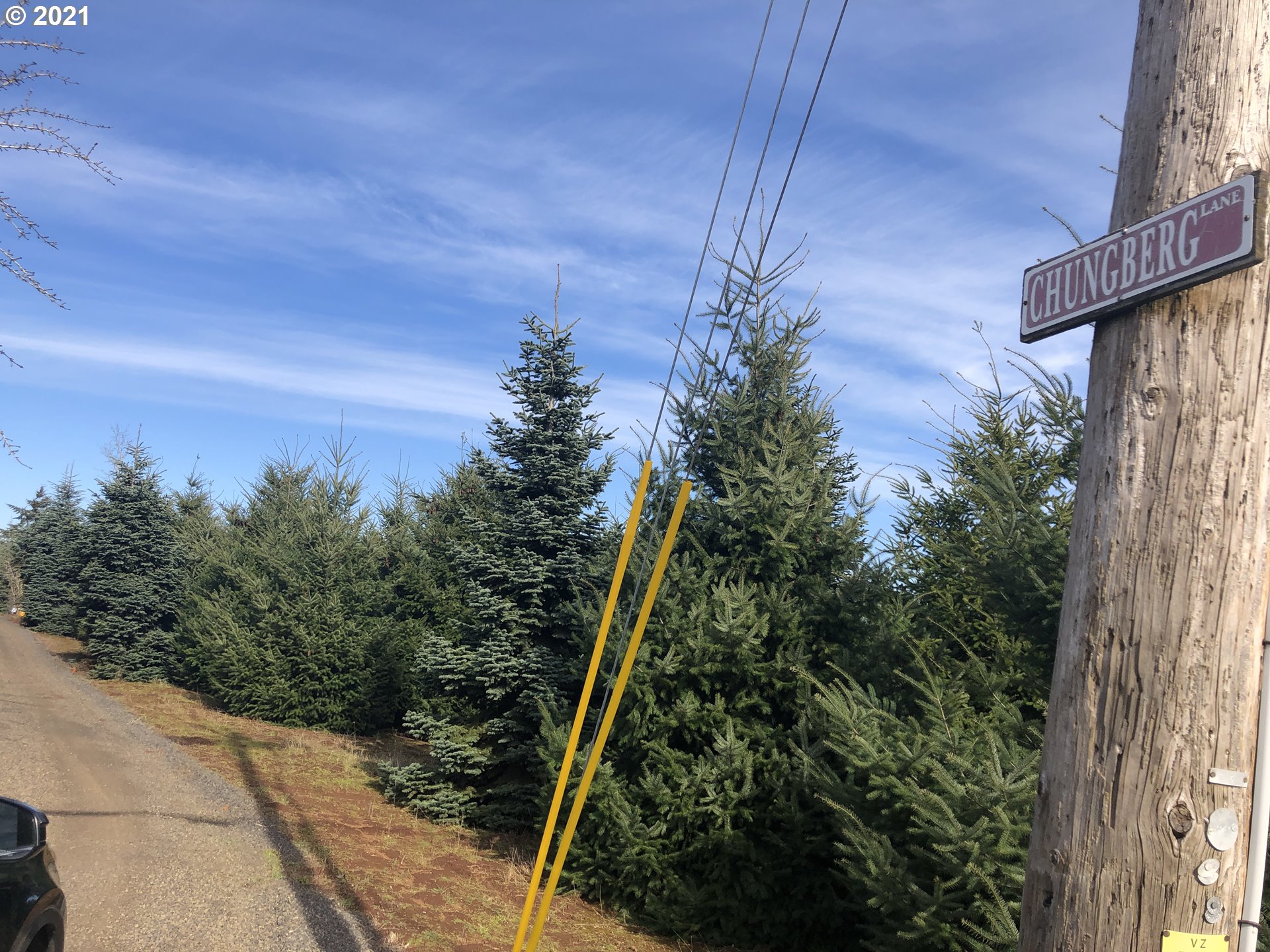 16979 Southeast Walnut Hill Road Amity, OR 97101 - Photo 21 of 24