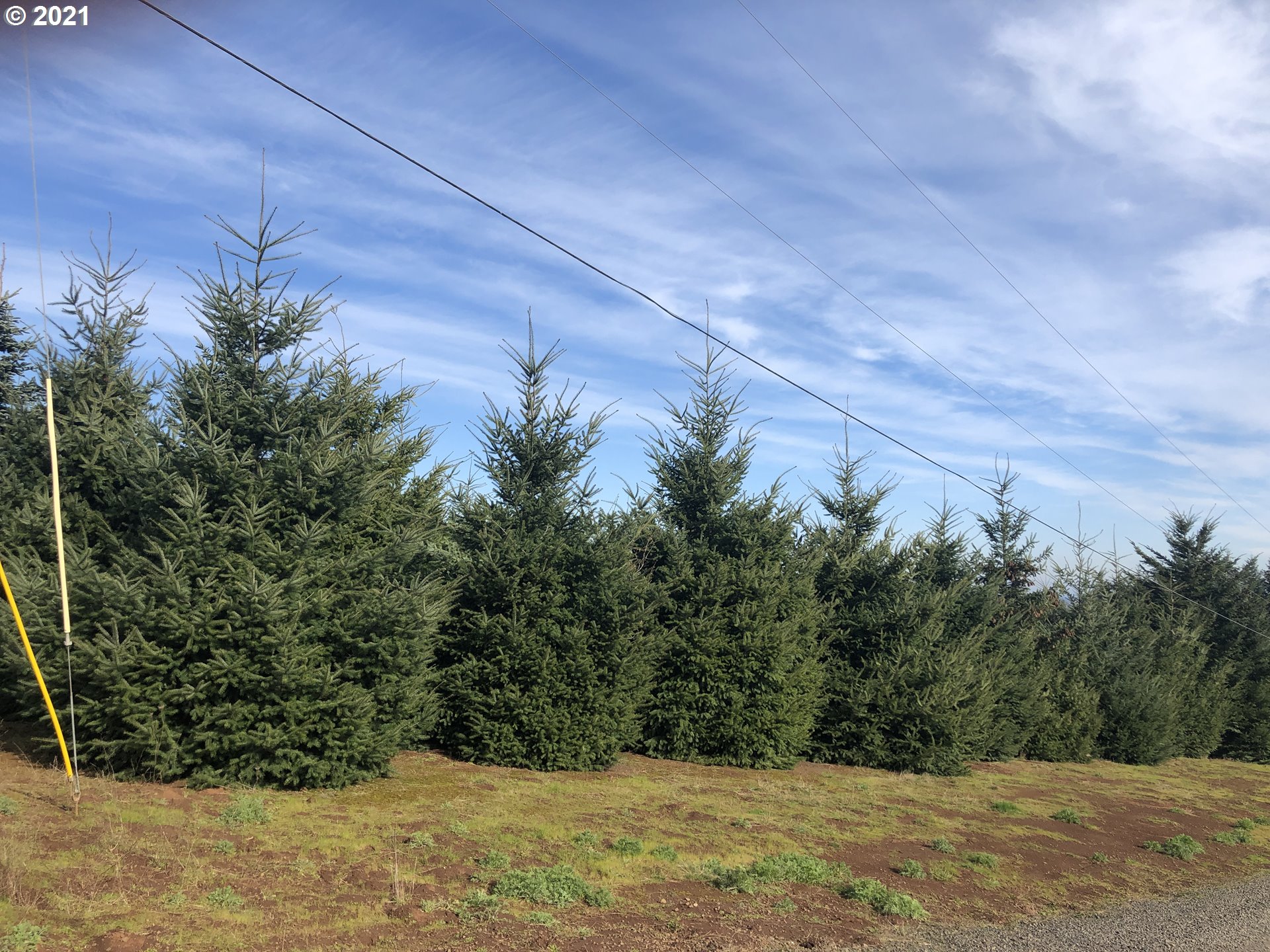 16979 Southeast Walnut Hill Road Amity, OR 97101 - Photo 22 of 24