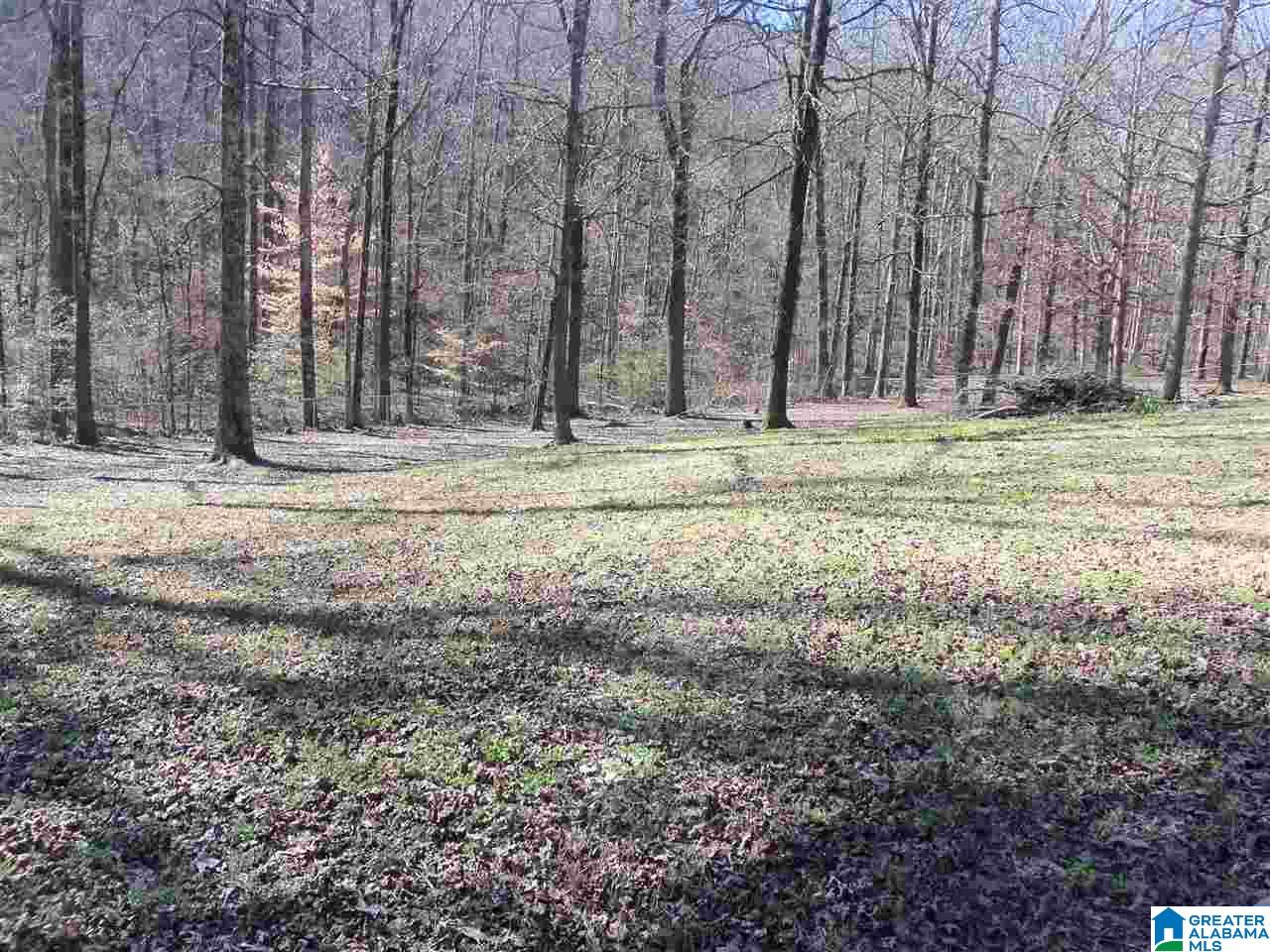 1300 Valley Trail Warrior, AL 35180 - Photo 32 of 39