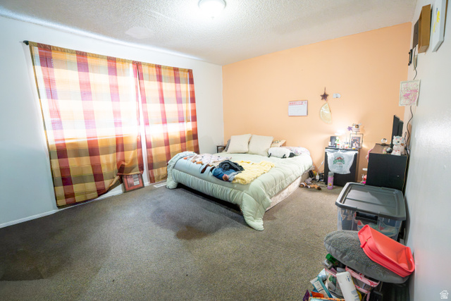 1347 South 400 East Springville, UT 84663 - Photo 8 of 20 Carpeted interior space featuring a large window with plaid drapes, a ceiling-mounted light fixture, and a peach accent wall