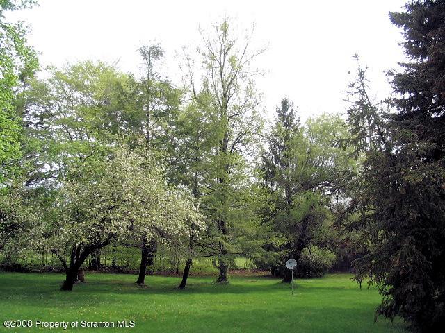 0 Spring Hill Road Sterling, PA 18463 - Photo 13 of 24 a view of a park with trees in the background
