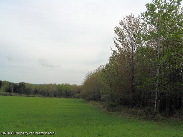 0 Spring Hill Road Sterling, PA 18463 - Photo 17 of 24 a view of grassy field with trees