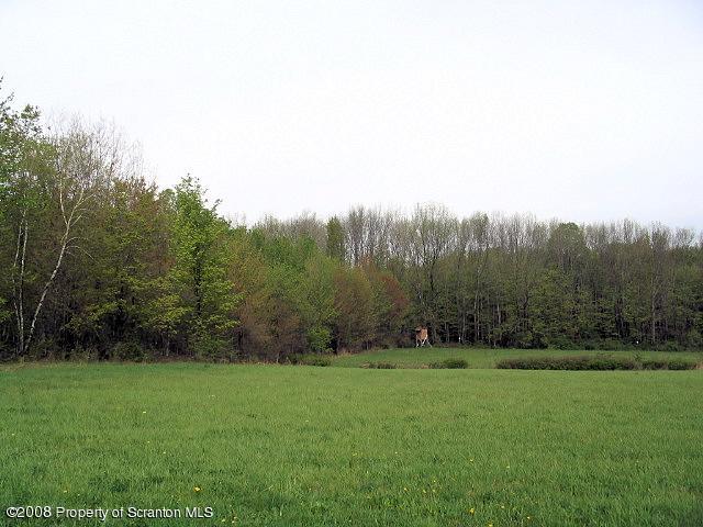 0 Spring Hill Road Sterling, PA 18463 - Photo 18 of 24 a view of a grassy field