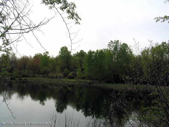 0 Spring Hill Road Sterling, PA 18463 - Photo 22 of 24 a view of lake with green space