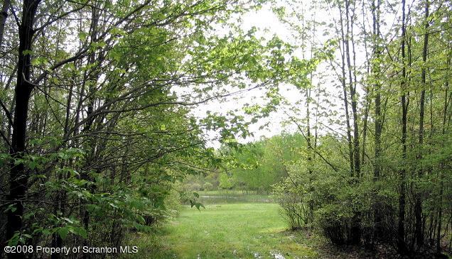 0 Spring Hill Road Sterling, PA 18463 - Photo 24 of 24 a big yard with lots of green space and a fountain