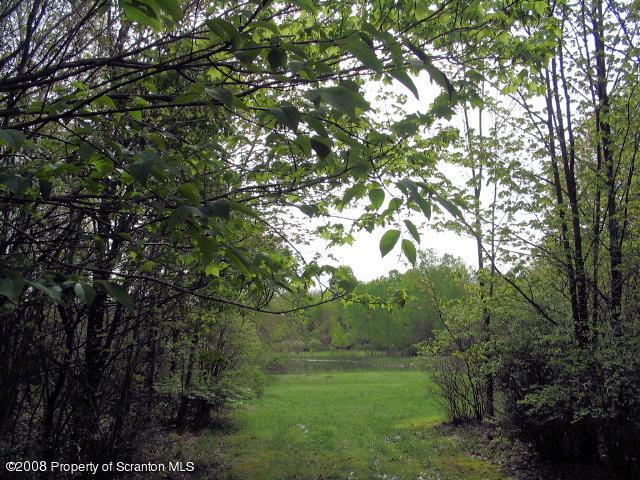 0 Spring Hill Road Sterling, PA 18463 - Photo 3 of 24 a view of a lush green forest