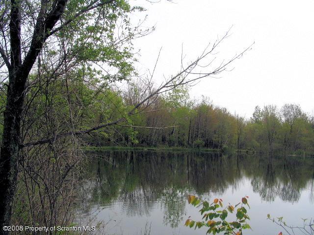 0 Spring Hill Road Sterling, PA 18463 - Photo 4 of 24 a view of lake with green space