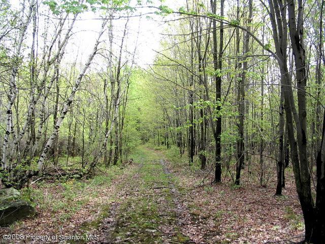 0 Spring Hill Road Sterling, PA 18463 - Photo 8 of 24 a view of a forest with large trees