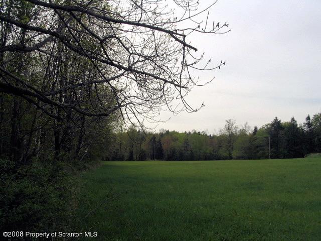 0 Spring Hill Road Sterling, PA 18463 - Photo 9 of 24 a view of yard with green space