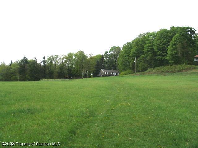 0 Spring Hill Road Sterling, PA 18463 - Photo 10 of 24 a backyard of a house with lots of green space