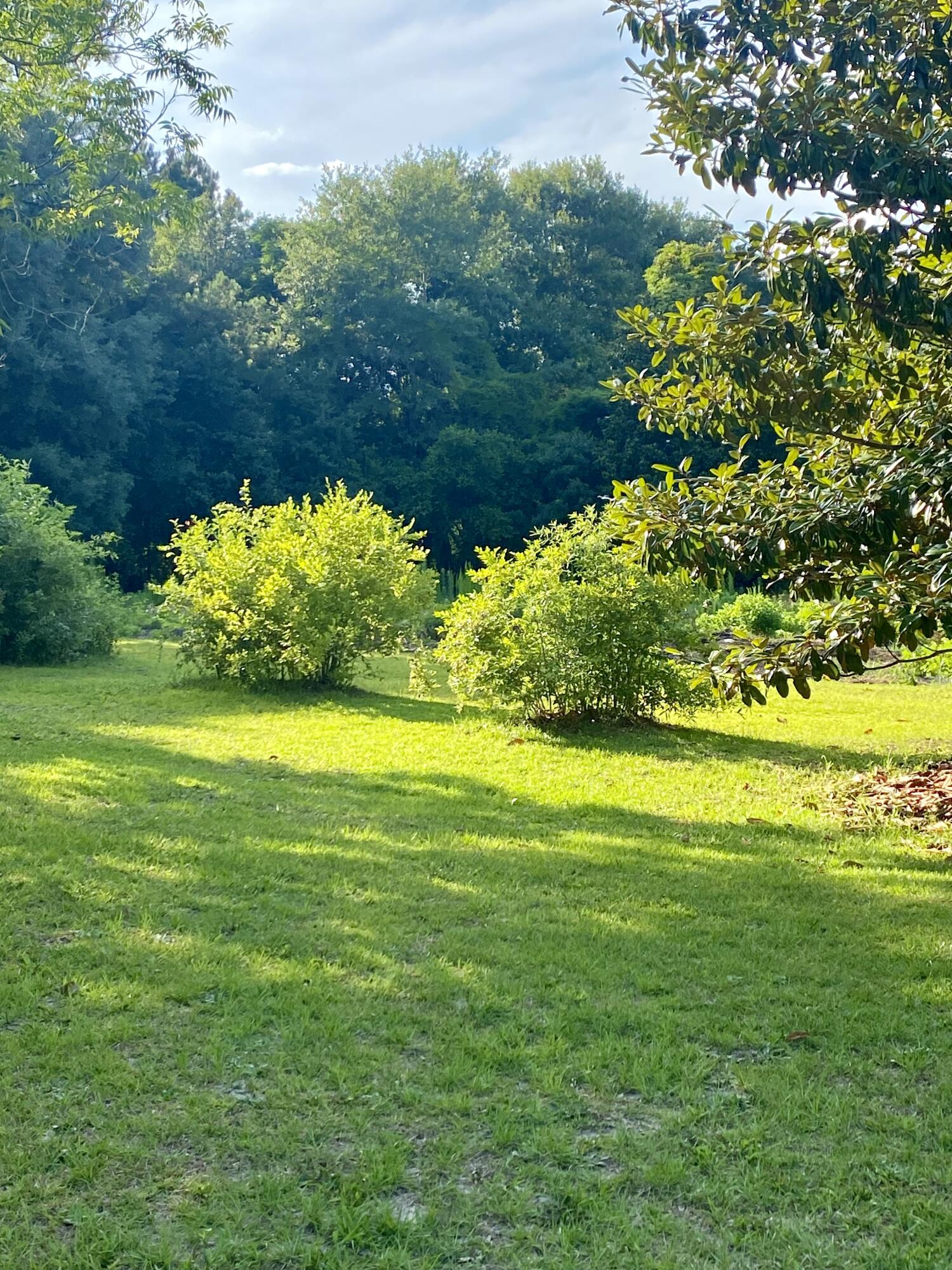 2811 Wagener Road Aiken, SC 29801 - Photo 17 of 23