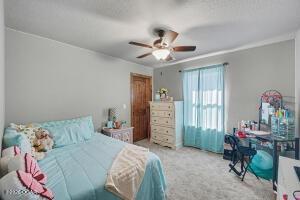 11279 Holly Road Neosho, MO 64850 - Photo 18 of 77