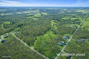 11279 Holly Road Neosho, MO 64850 - Photo 45 of 77