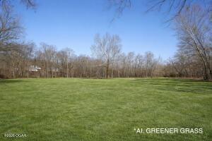 11279 Holly Road Neosho, MO 64850 - Photo 53 of 77