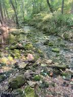 11279 Holly Road Neosho, MO 64850 - Photo 10 of 77