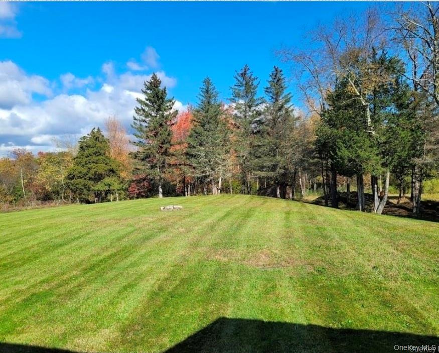 2115 State Rte 55, Unit 1 LaGrangeville, NY 12540 - Photo 2 of 23 a view of a yard with a house