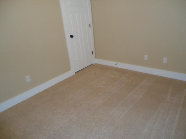 1017 Little Sorrel Road, Unit 462 Hixson, TN 37343 - Photo 127 of 205 DSC05568