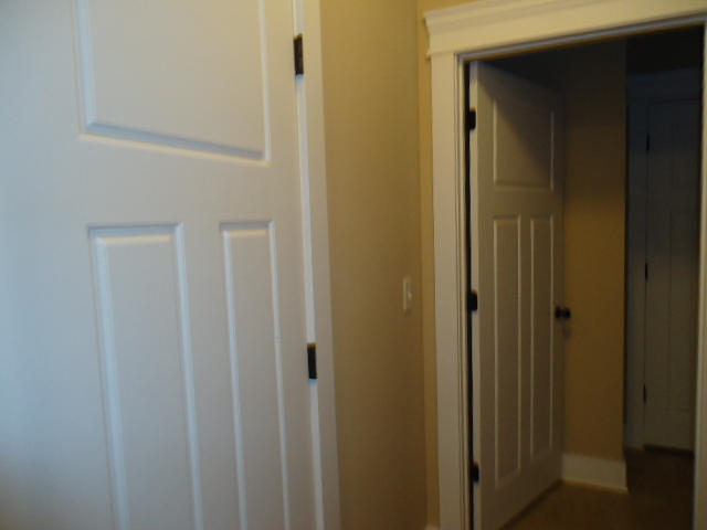 1017 Little Sorrel Road, Unit 462 Hixson, TN 37343 - Photo 73 of 205 DSC05623