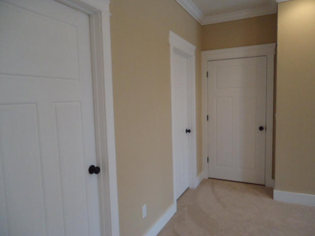 1017 Little Sorrel Road, Unit 462 Hixson, TN 37343 - Photo 79 of 205 DSC05617