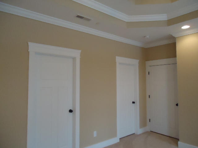 1017 Little Sorrel Road, Unit 462 Hixson, TN 37343 - Photo 80 of 205 DSC05616