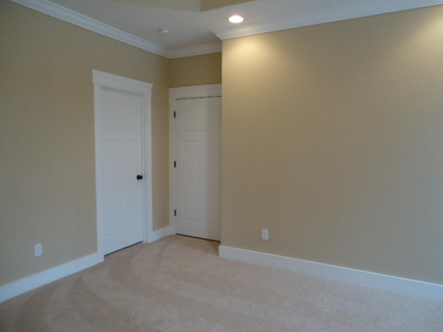 1017 Little Sorrel Road, Unit 462 Hixson, TN 37343 - Photo 100 of 205 DSC05596