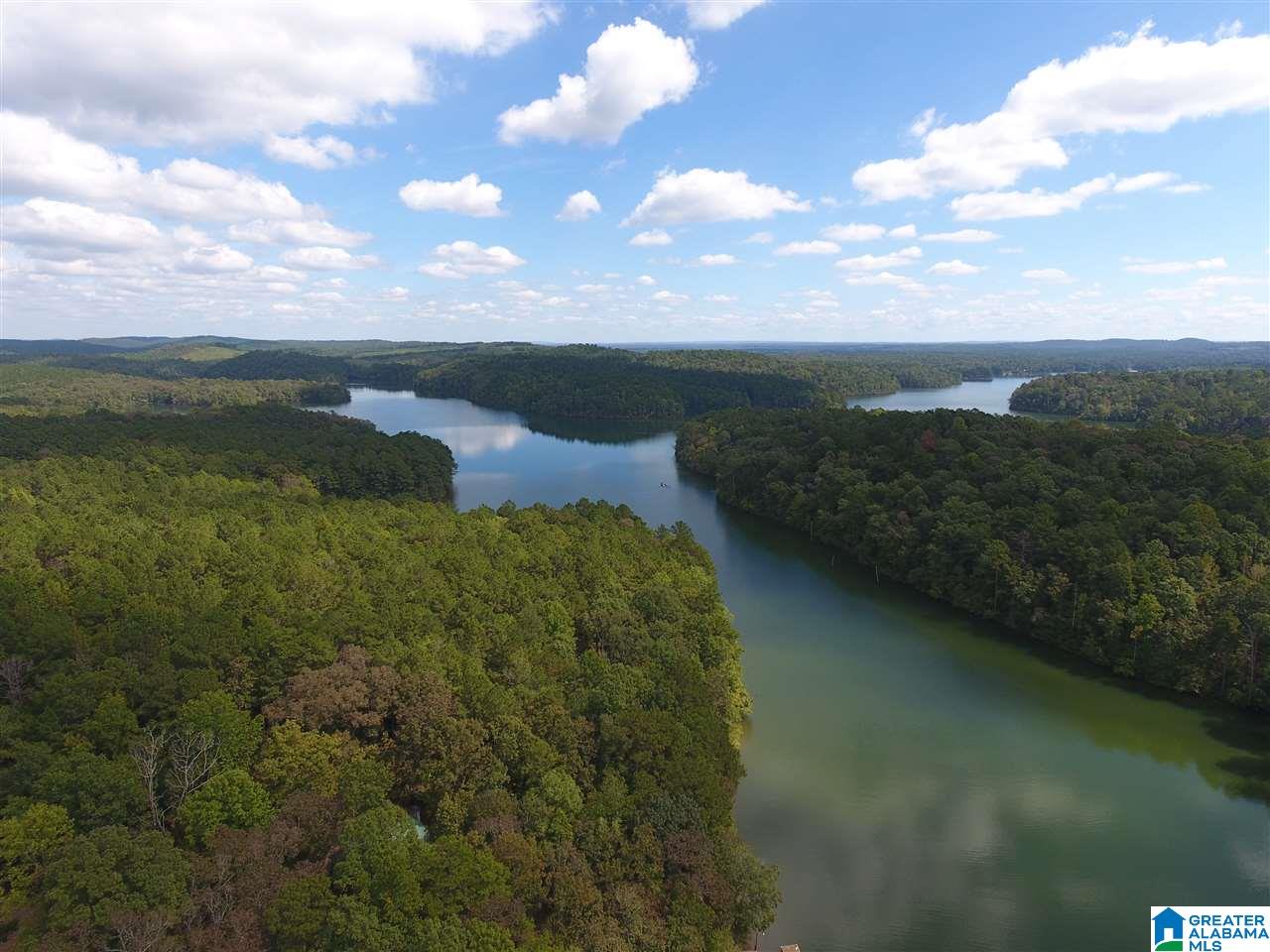 100 Fox Run Lineville, AL 36266 - Photo 23 of 30
