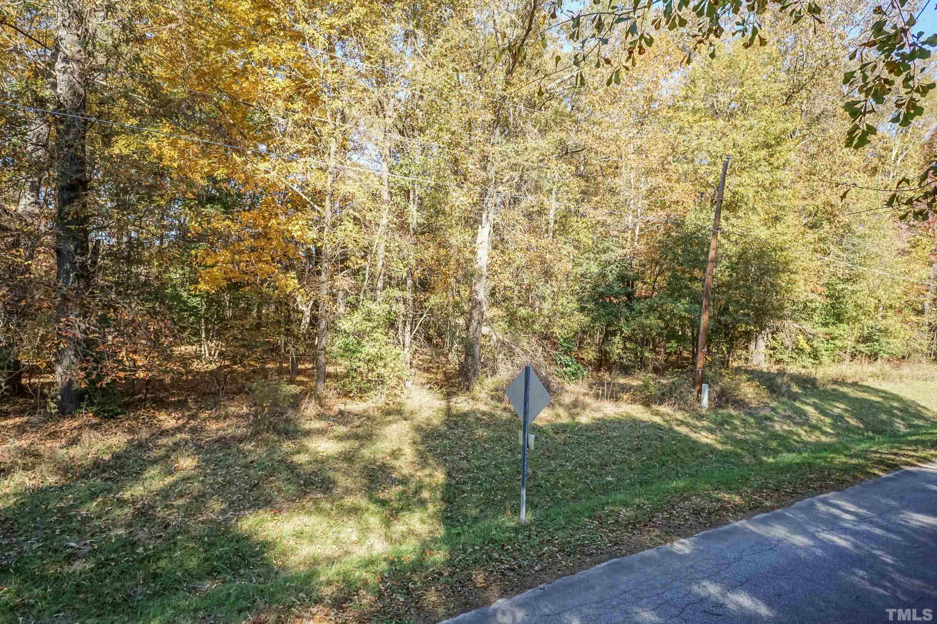 3329 Leonard Road Raleigh, NC 27610 - Photo 2 of 7 a close up of a tall trees