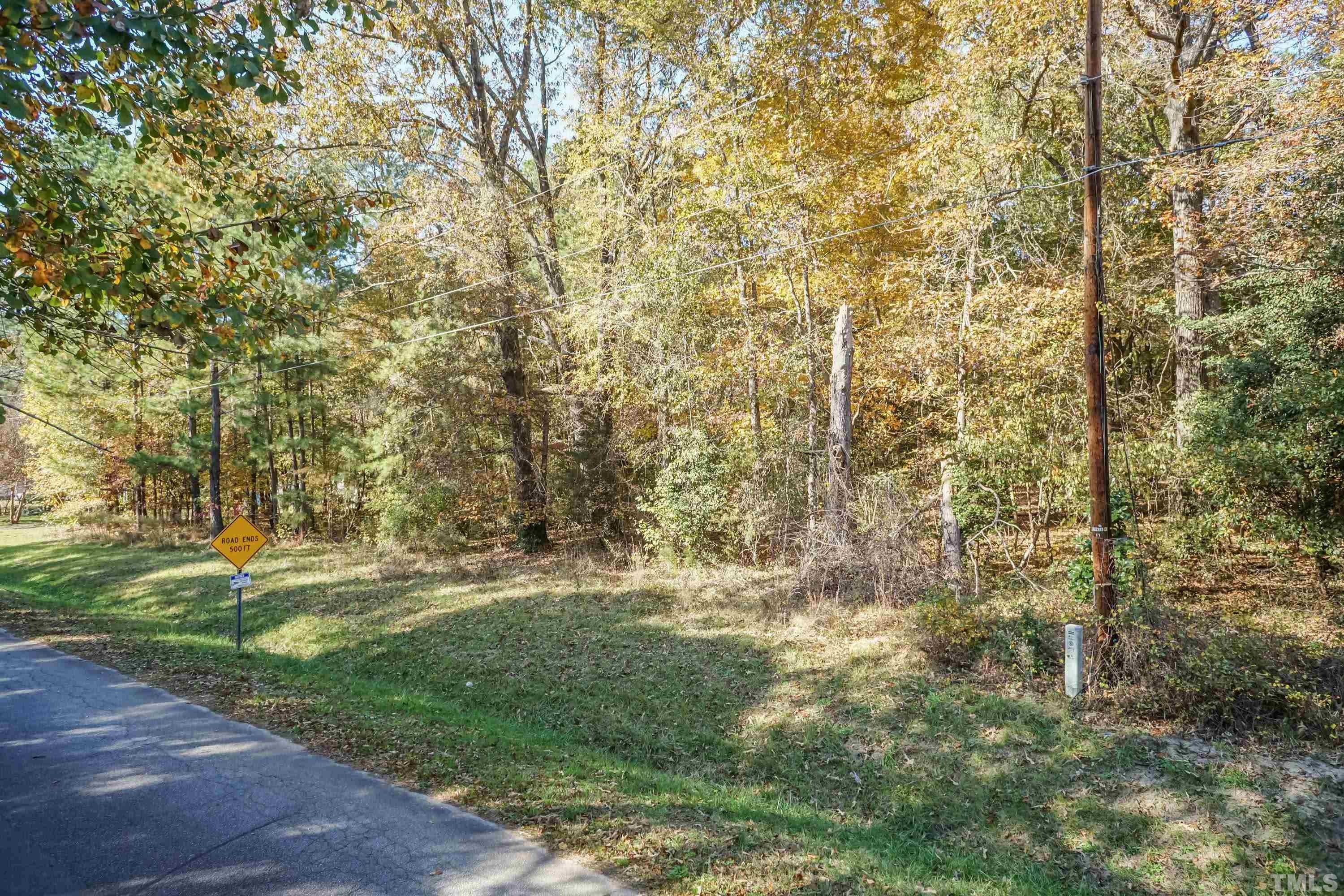 3329 Leonard Road Raleigh, NC 27610 - Photo 4 of 7 a view of a yard with plants and trees