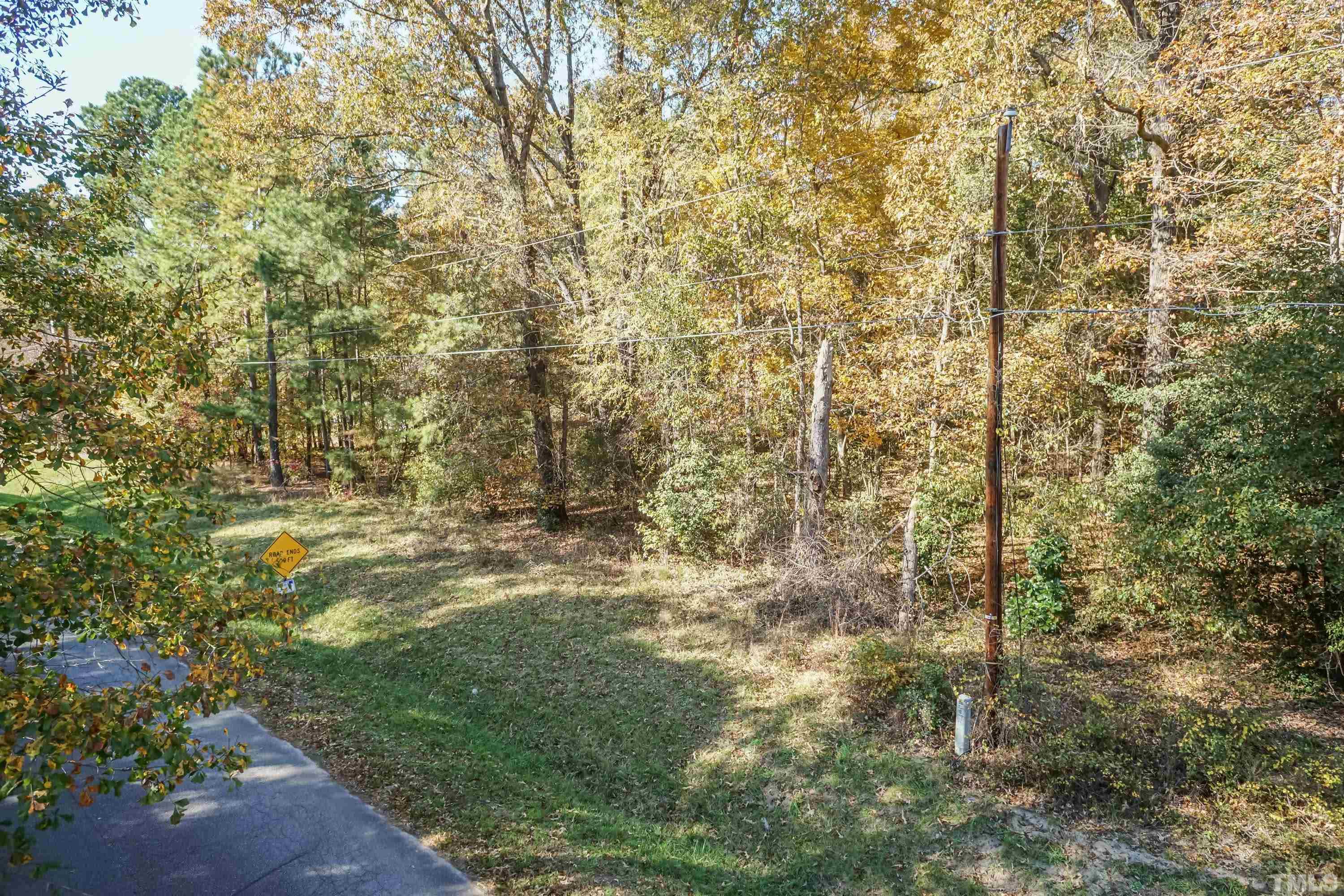 3329 Leonard Road Raleigh, NC 27610 - Photo 5 of 7 a view of a yard with trees