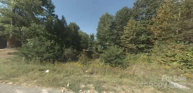 a view of a yard with large trees