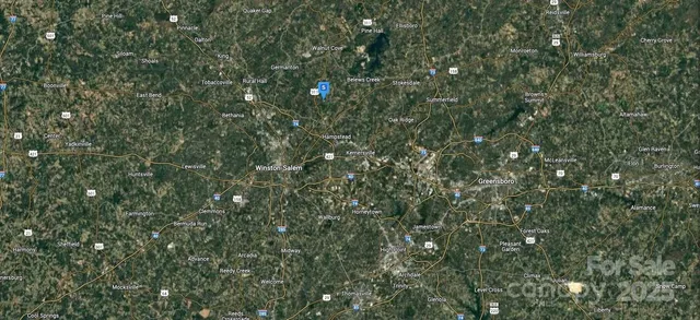 a view of a tree with a tree