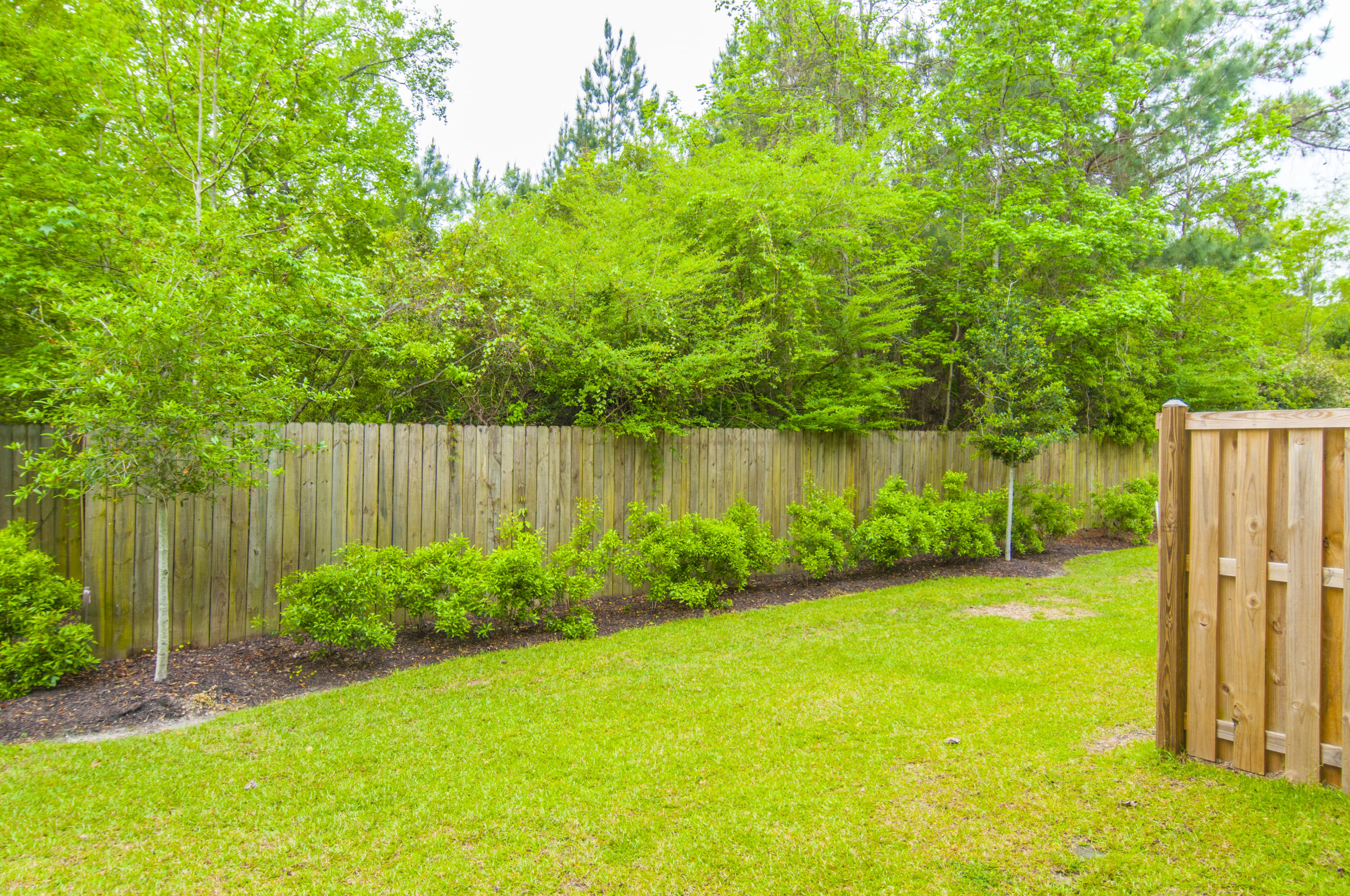 1213 Dingle Road Mount Pleasant, SC 29466 - Photo 29 of 31 back yard