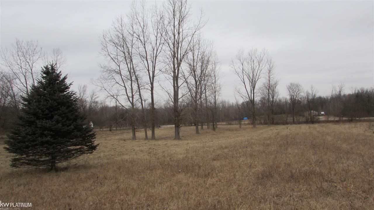 12797 Yale Road Yale, MI 48097 - Photo 11 of 23