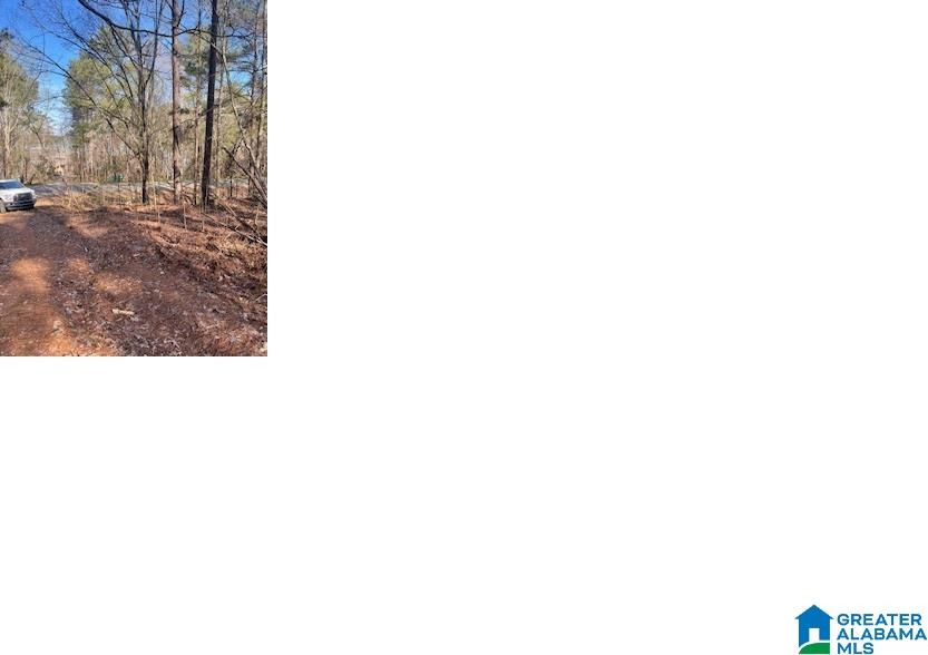 Pluto Circle, Unit 21 Alpine, AL 35014 - Photo 1 of 3