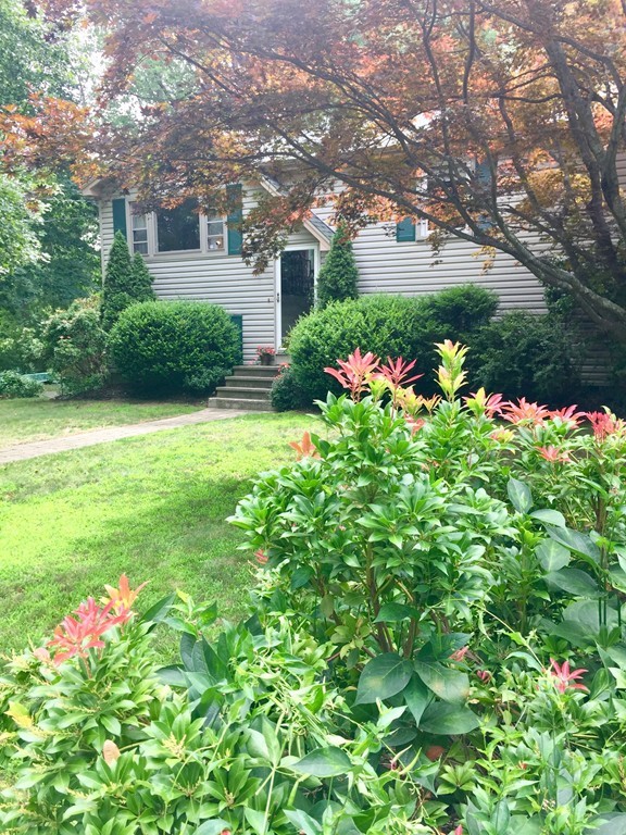 6 Charles River Road Medway, MA 02053 - Photo 4 of 28 Gallery Image 4