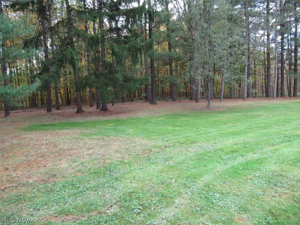 4458 Blake Road Seville, OH 44273 - Photo 33 of 35 Gallery Image 33
