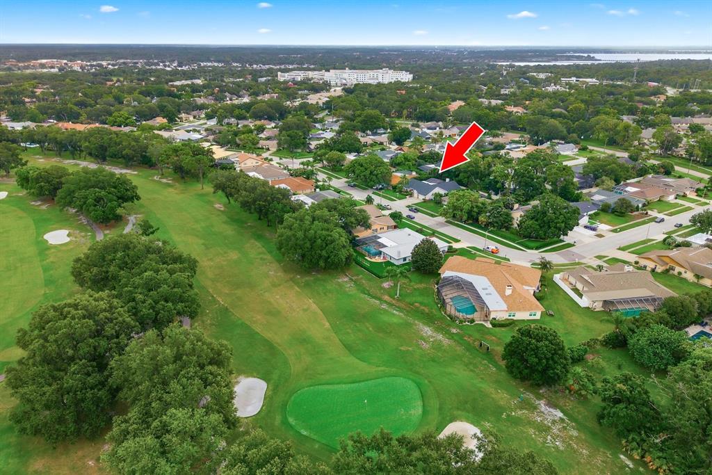 3175 Sandy Ridge Drive Clearwater, FL 33761 - Photo 5 of 69