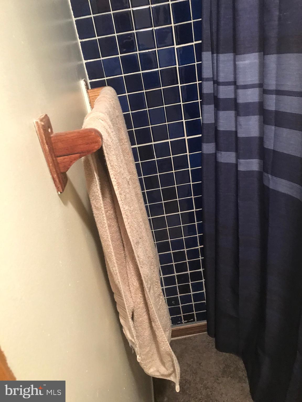 8320 Brookvale Court Springfield, VA 22153 - Photo 24 of 43 Shower in basement