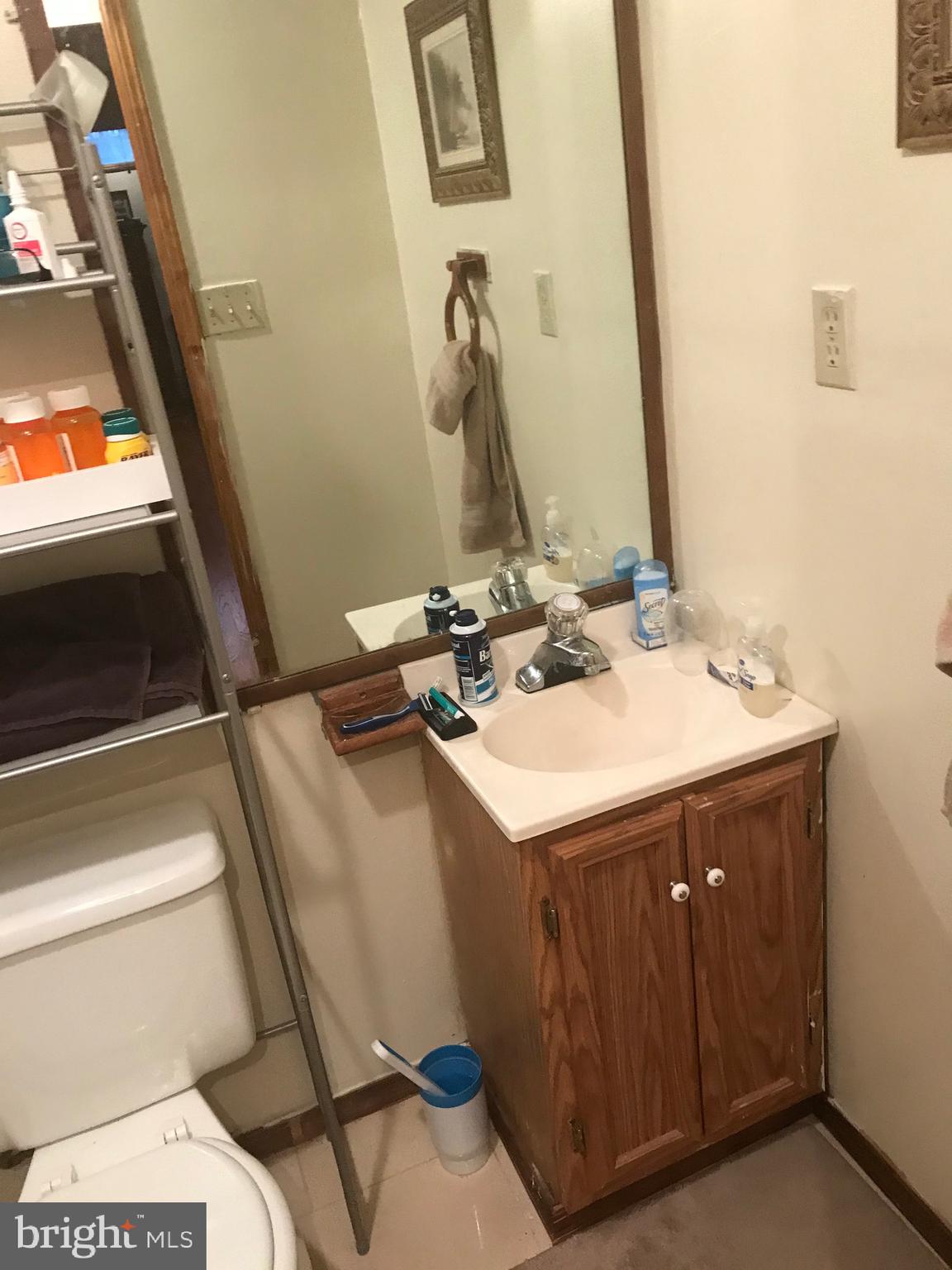 8320 Brookvale Court Springfield, VA 22153 - Photo 25 of 43 Basement bathroom sink