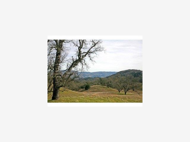 0 Long Ridge Trail Carmel, CA 93923 - Photo 3 of 3 Gallery Image 3