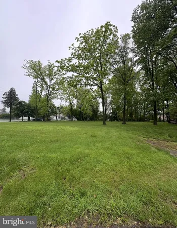 a view of a grassy field with trees