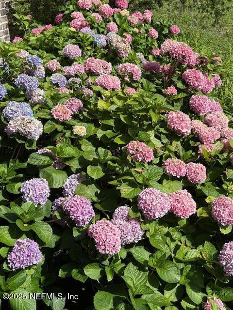 5802 Manning Cemetery Road Jacksonville, FL 32234 - Photo 102 of 117