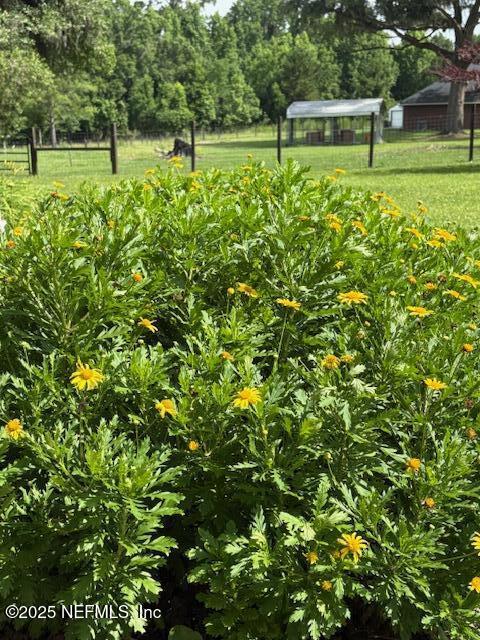 5802 Manning Cemetery Road Jacksonville, FL 32234 - Photo 103 of 117 Colorful Landscaping